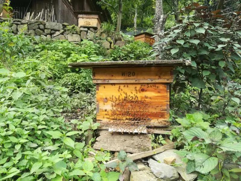 微信圖片_20200519095103.jpg 微信圖片_20200519095103.jpg